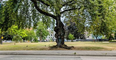 Vancouver 2024-25