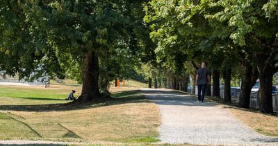 20250730_212411994 Park walk & trees.jpg