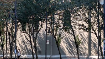 20250916_212916712 Tree shadows colour 1024.jpg