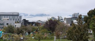 Vancouver 2024-25