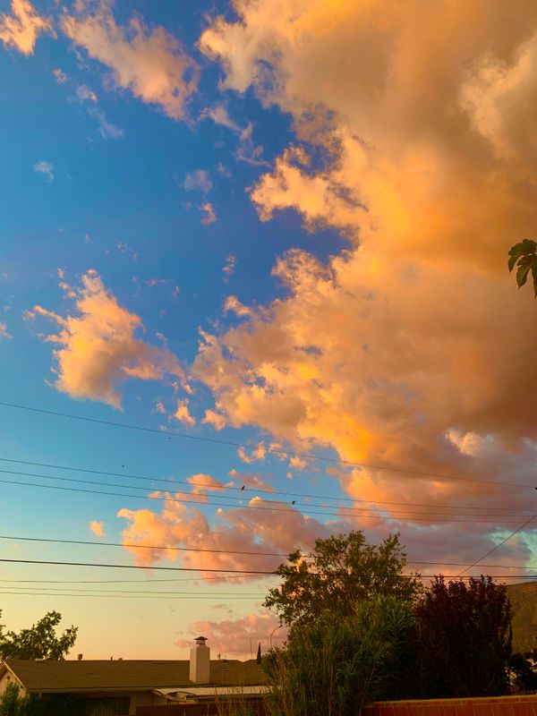 0614886E-CB9C-494F-8370-09764F8C8F58.jpeg