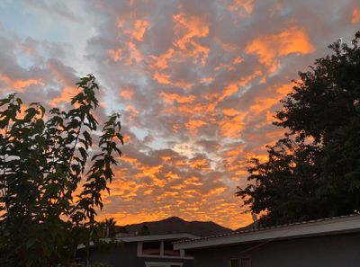 New Mexico 