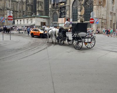 DSCN4049.JPG