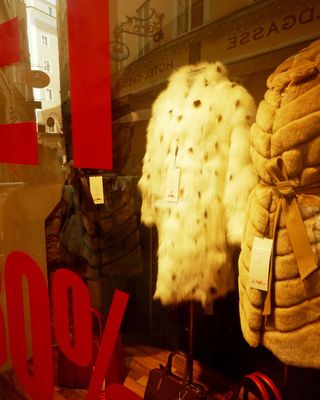 DSCN4232.JPG