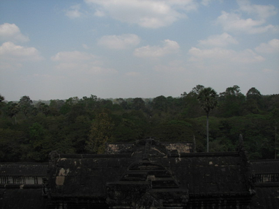 IMG_1115.jpg