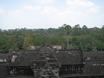 IMG_1121.jpg