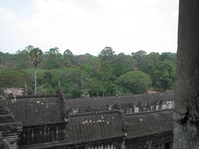 IMG_1122.jpg