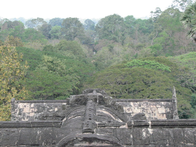 IMG_1123.jpg