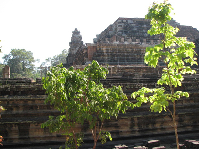 IMG_1248.jpg
