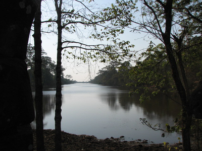 IMG_1279.jpg