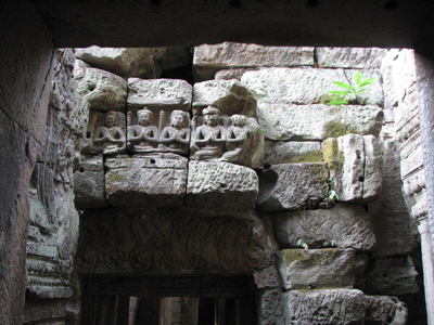 IMG_1451.jpg