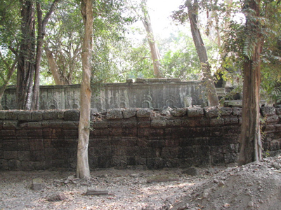 IMG_1549.jpg