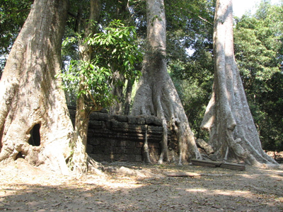 IMG_1570.jpg