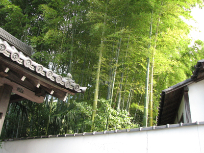 Kyoto 051.jpg