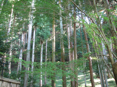 Kyoto 090.jpg