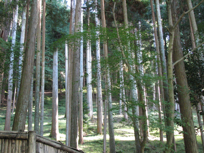 Kyoto 091.jpg