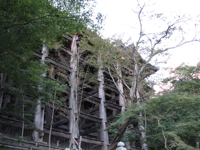 Kyoto 150.jpg