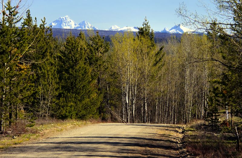 Chilko Lake Access Road, BC