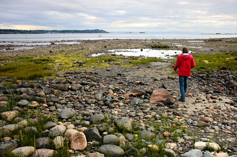 Beach of the Strait of Georgia, BC