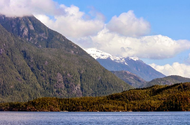 Kennedy lake
