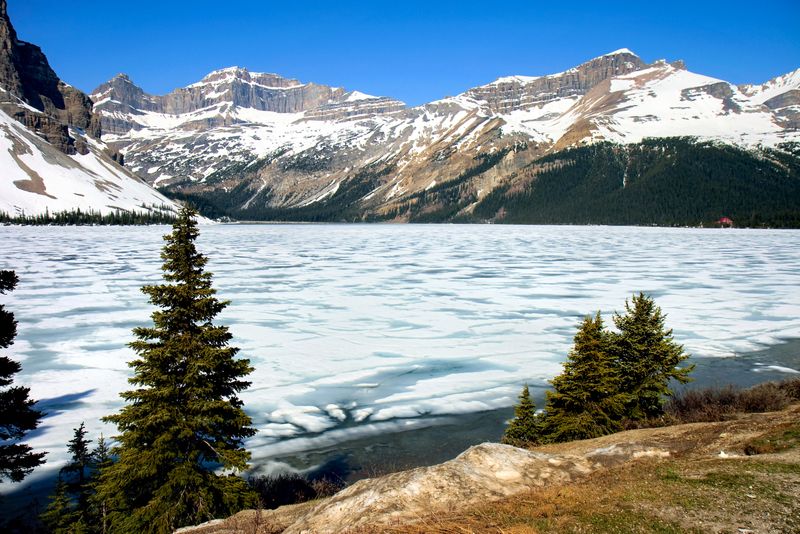 Bow Lake