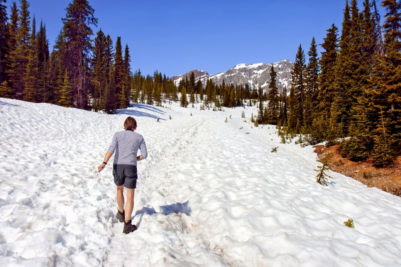 Trail from Bow Pass to Peyto Lake viewpoint