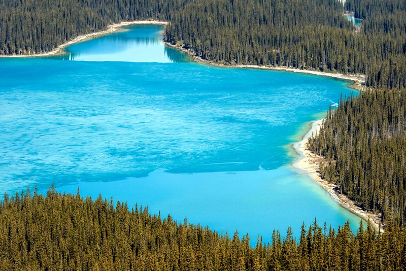 Frozen Peyto Lake