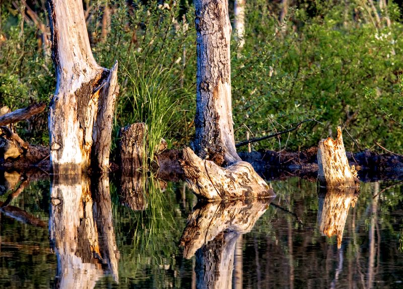 Maxwell Lake