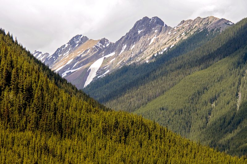 Peter Lougheed Provincial Park