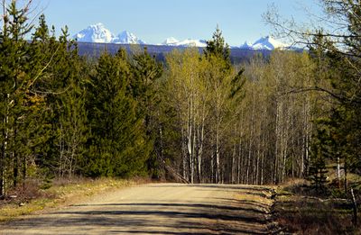 Chilko Lake Access Road, BC