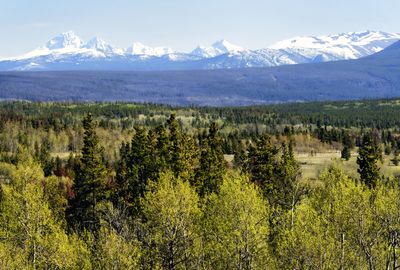 View at the snow mountains of Cariboo