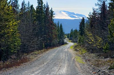 Eagle Lake Road