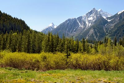 Cayoosh Range mountains