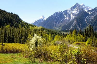 Cayoosh Range mountains