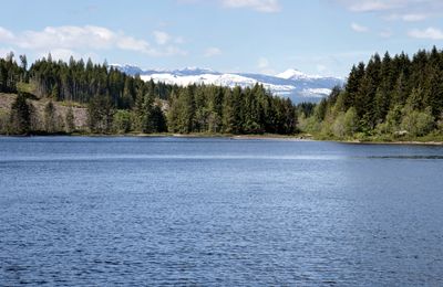 Upper Campbell Lake
