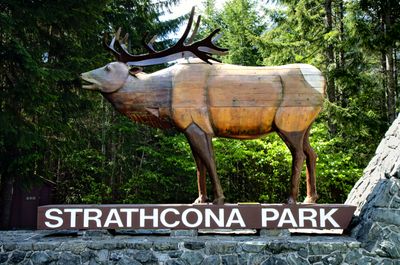 Wooden Elk Statue