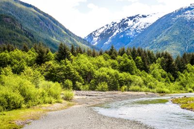 Thelwood Creek