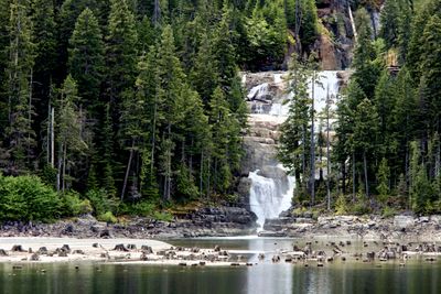Lower Myra Falls and Buttle Lake