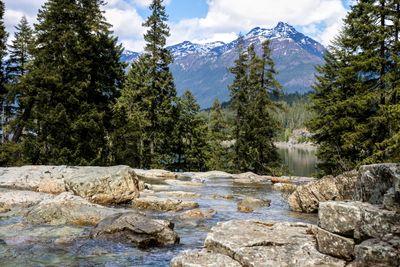 Lower Myra Falls and Buttle Lake