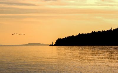 The geese and the lighthouse
