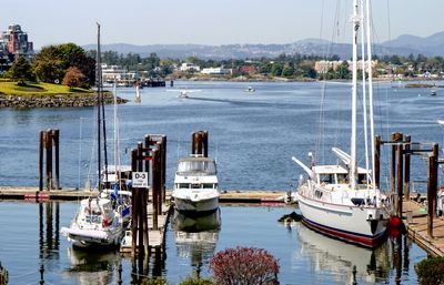 Inner Harbour