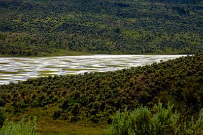 Kliluk the Spotted Lake
