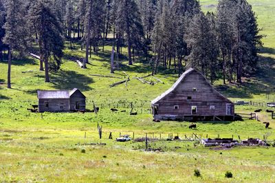 Barns