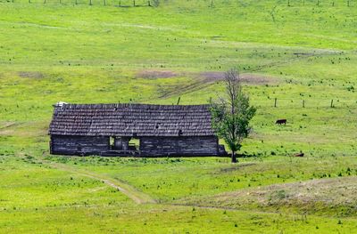 Barn