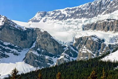 Crowfoot Glacier