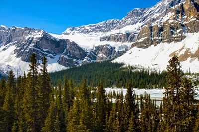 Crowfoot Glacier and the Rocky Mountains