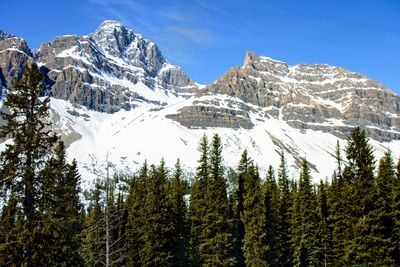 Sun and snow on the Rocky Mountains