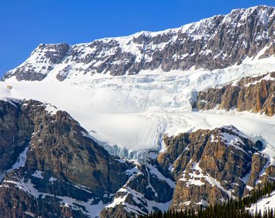 Crowfoot Glacier