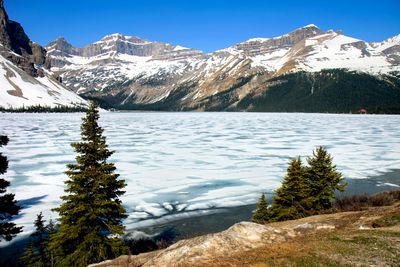 Bow Lake