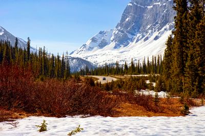 Icefields Parkway